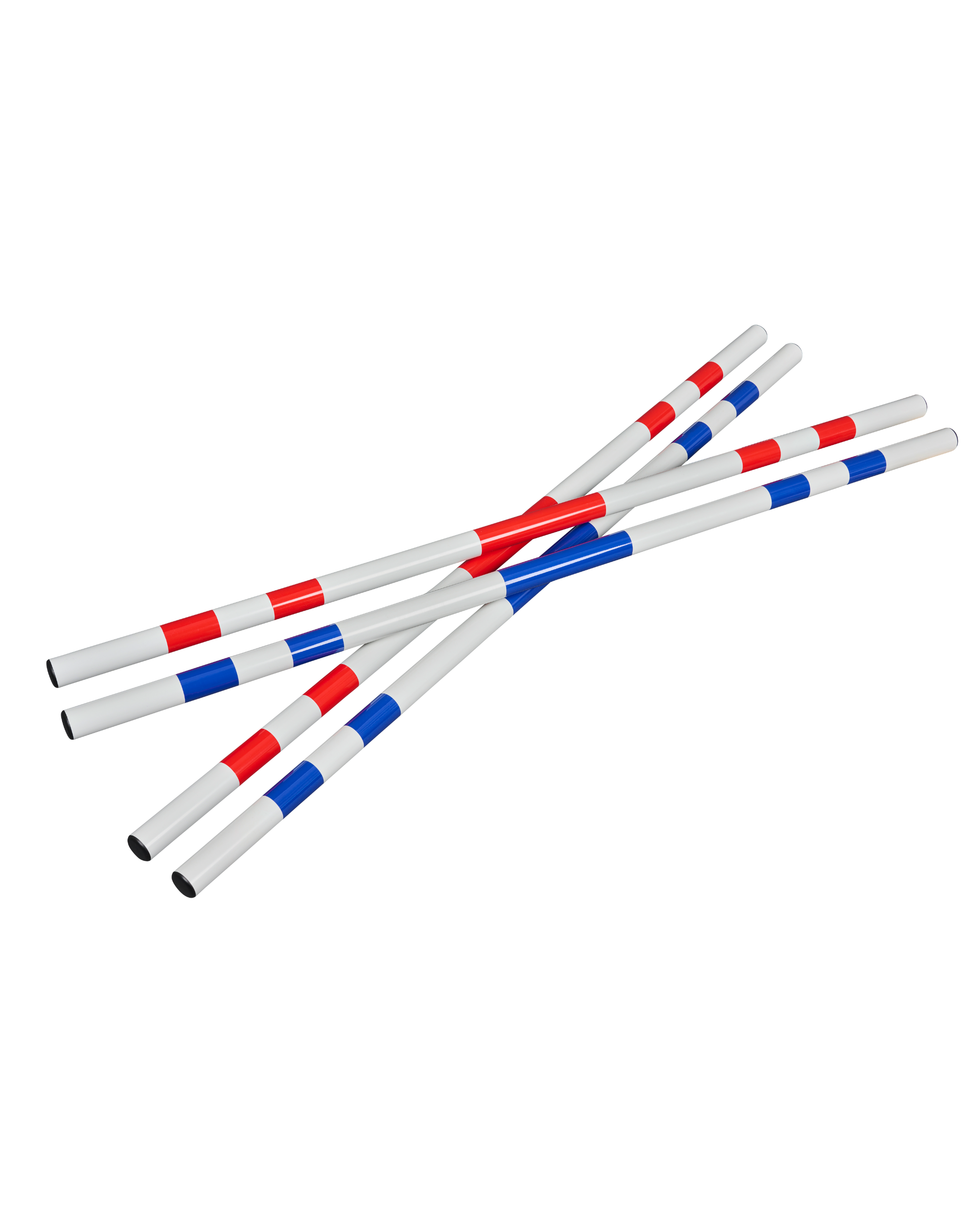 obstacle and trot poles